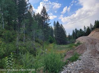 L37b4 Cutthroat Run, Irwin, ID 83428