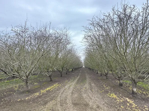 Childs, Merced, CA 95341