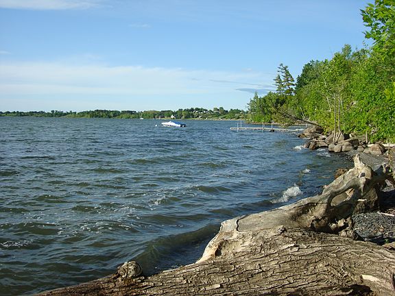 Shale beach