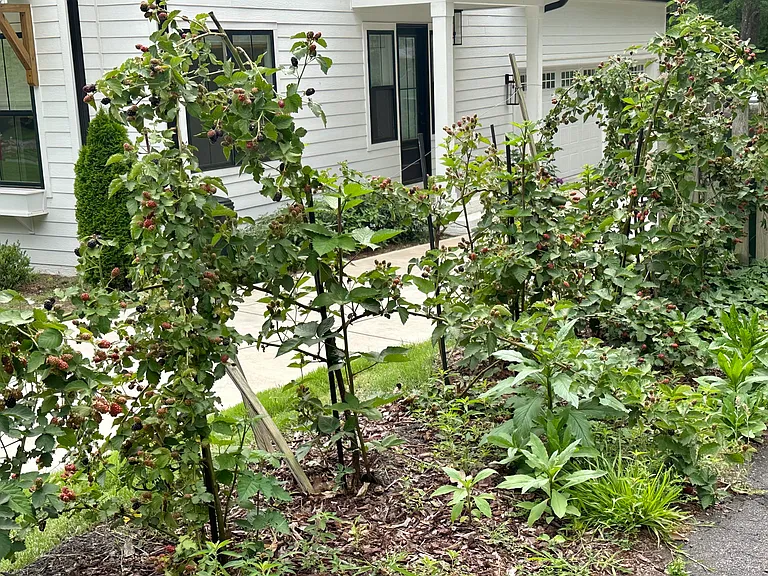 403 Ann St — Photo 20