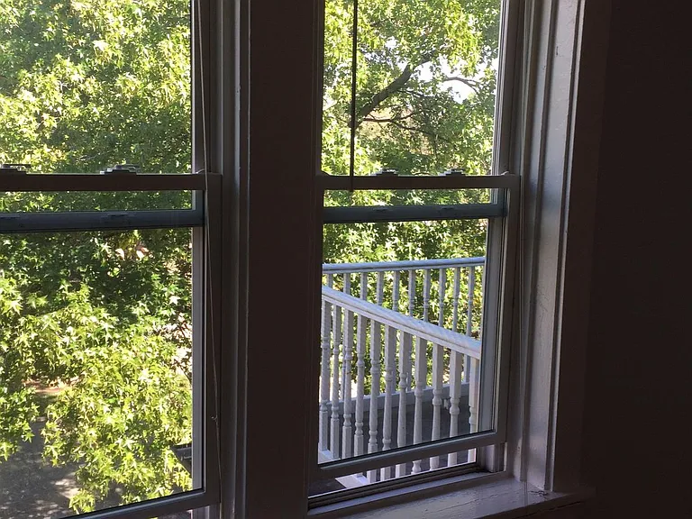 View from Living Room window