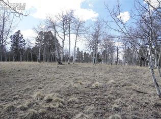 181 Berylium Rd, Florissant, CO 80816