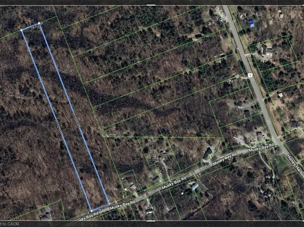 96 Musky Bay Rd, Georgian Bay, ON L0K 1S0