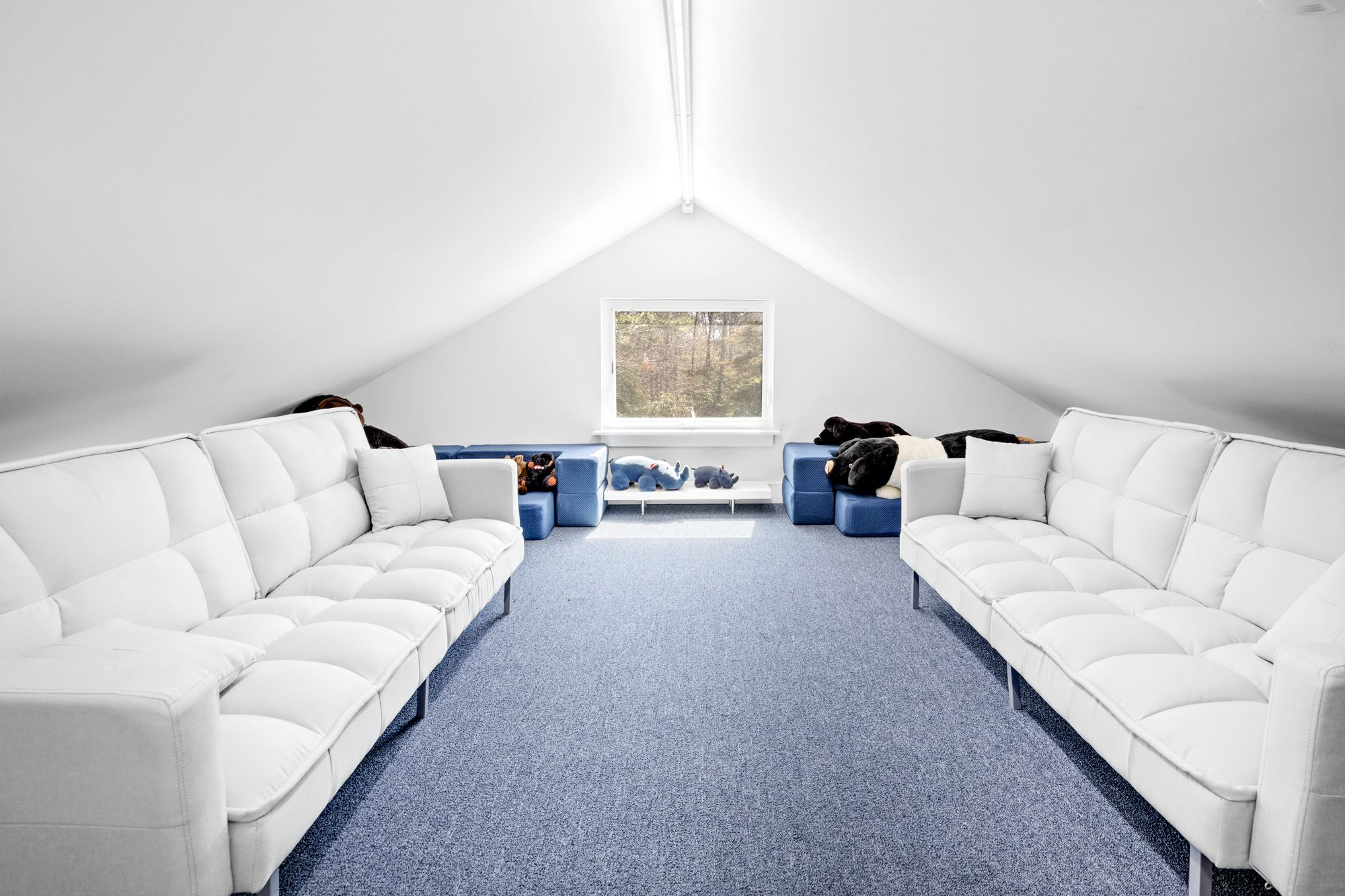 EVELYN CT visual data 3