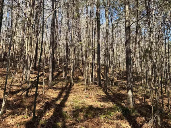 11-A County Rd #3782, Arley, AL 35541