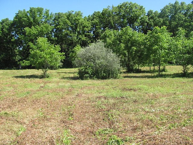 1st image of Lot 7 North Old Stone House Road
