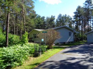9079 Nora Ln, Saint Germain, WI 54558