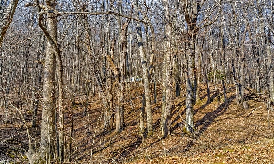 1st image of 23 Locust Cir Lot 23