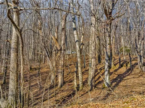 23 Locust Cir Lot 23, West Jefferson, NC 28694