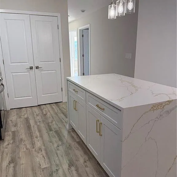 251 Livingston Ave #305 — Photo 8