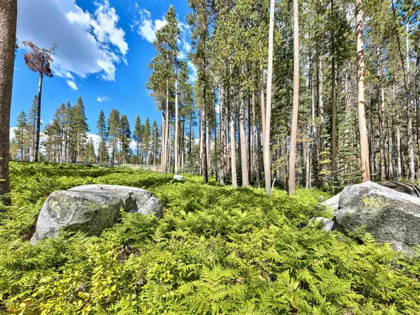 22028 Lotta Crabtree Ter, Soda Springs, CA 95728