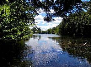 View from Dock