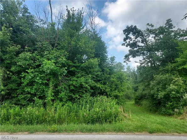 Bulah Rd, Jefferson, OH 44047