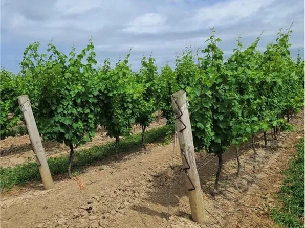 1074 Niagara Stone Rd, Niagara On The Lake, ON L0S 1J0