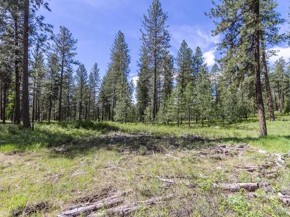 1100 Kitt Narcisse Rd Parcel C, Colville, WA 99114