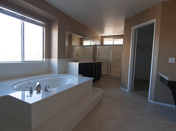 Master Bathroom1