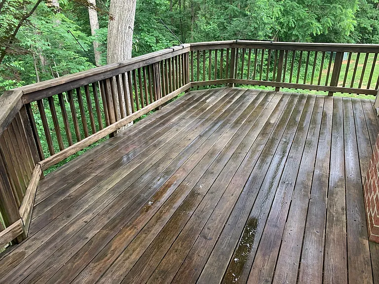 7700 Jewelweed Ct — Photo 12