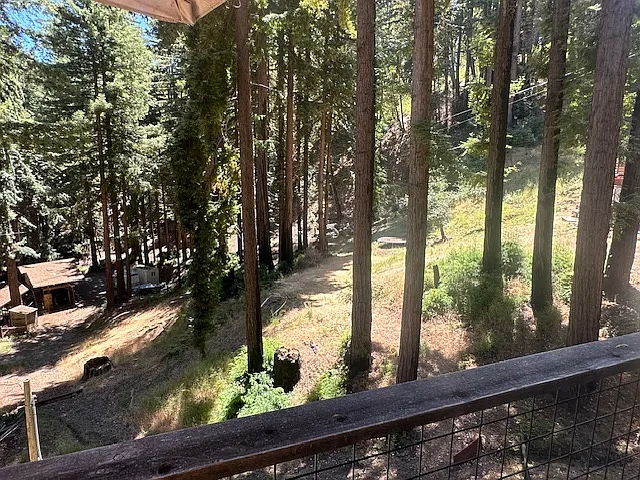 333 Waterman Gap Loop — Photo 12