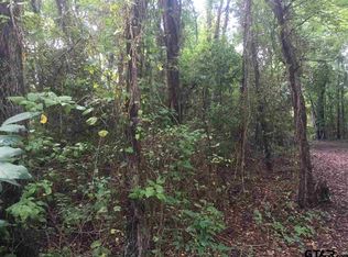 9 E Town Road Cir #4608, Troup, TX 75789