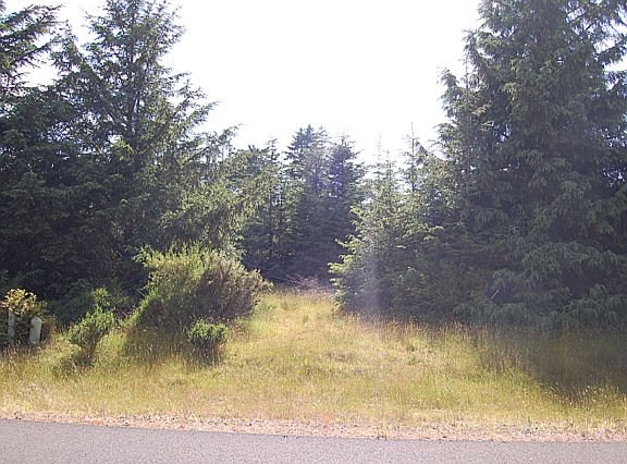 3rd image of 351 Ponderosa Loop NE