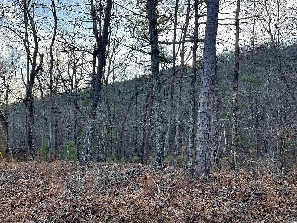 205 Sharp Top Mountain Trl #205 photo 1