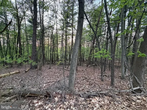 2394 Crow Foot Dr, Auburn, PA 17922