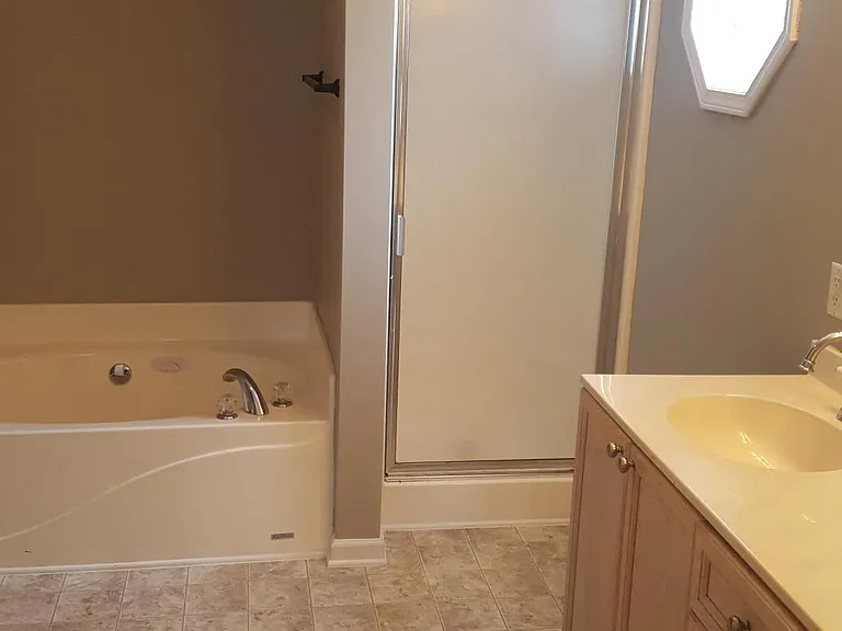 Master bathroom/Shower & tub