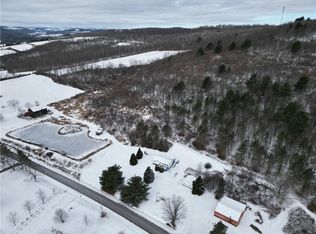 5565 Thomas Rd, Woodhull, NY 14898