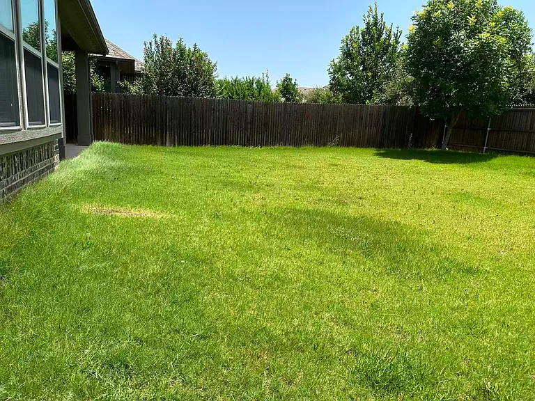 2113 Burke Dr — Photo 19