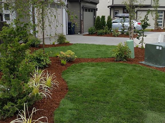 Neighborhood and front yard