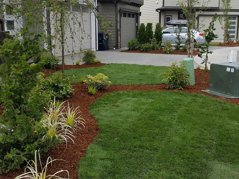 Neighborhood and front yard