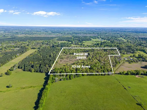 County Road 163, Long Branch, TX 75669