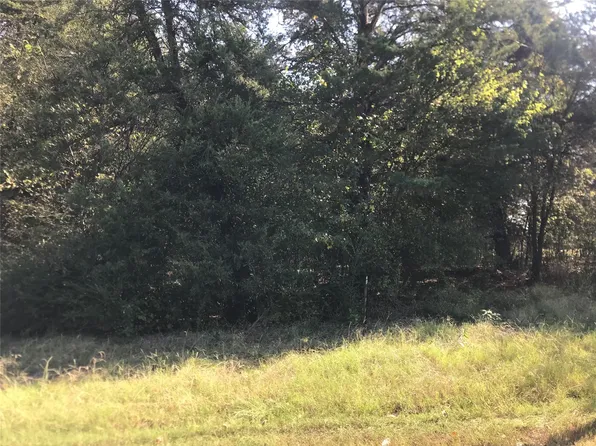 County Road 2602, Pittsburg, TX 75686