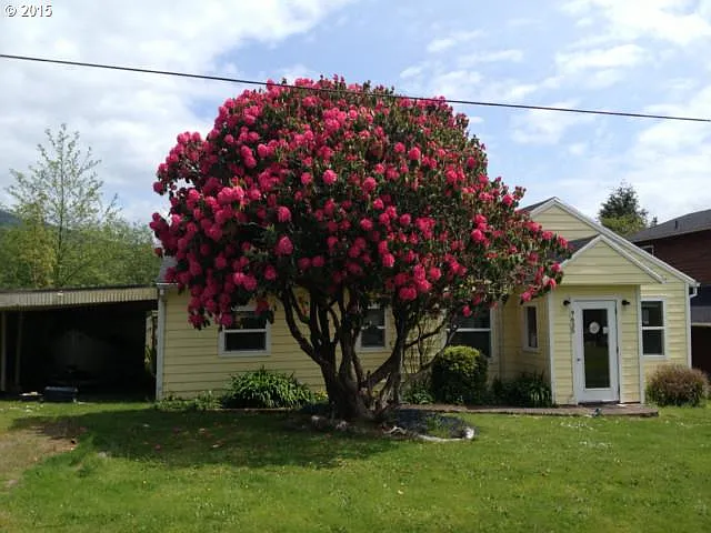 9635 1st St photo 1