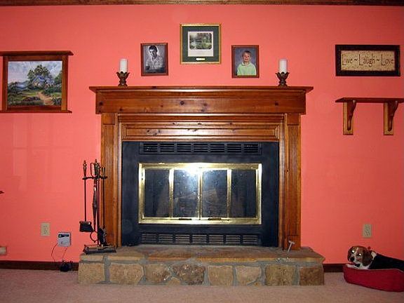 Wood Burning Fireplace w/ Gas Starter
