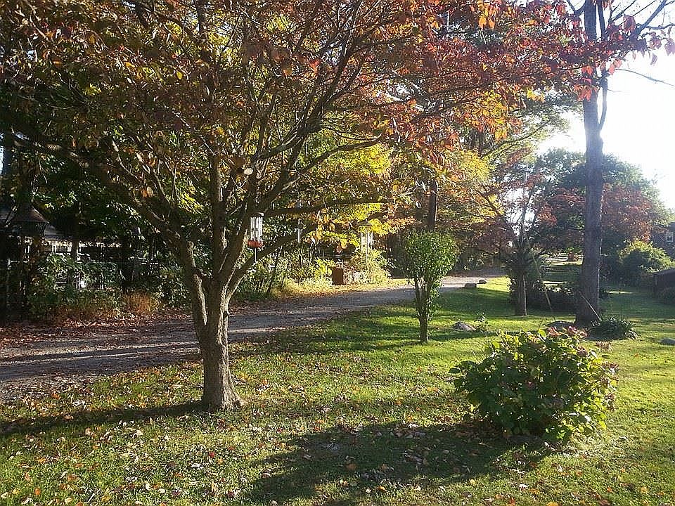 fall view