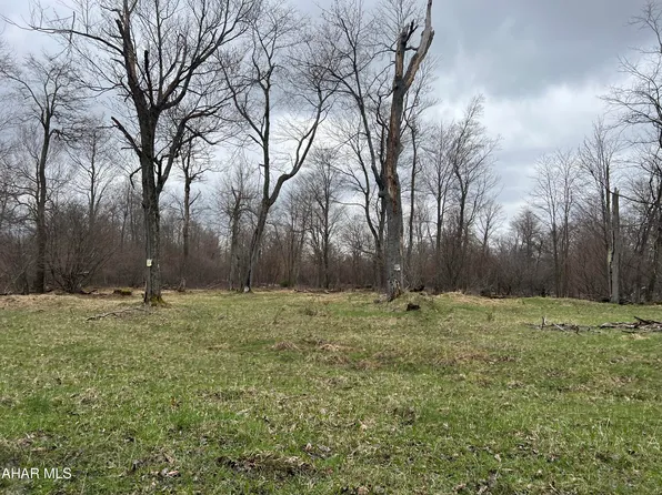 0 Crystal Springs Rd, Penfield, PA 15849