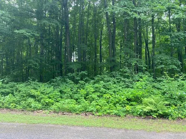 LOT 531 Sprucedale Cir, Elmira, MI 49730