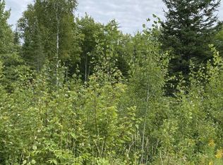 ON Mink Dr, Phillips, WI 54555