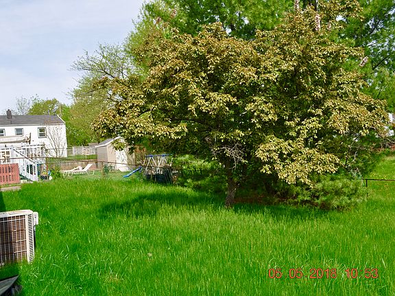 beautiful backyard