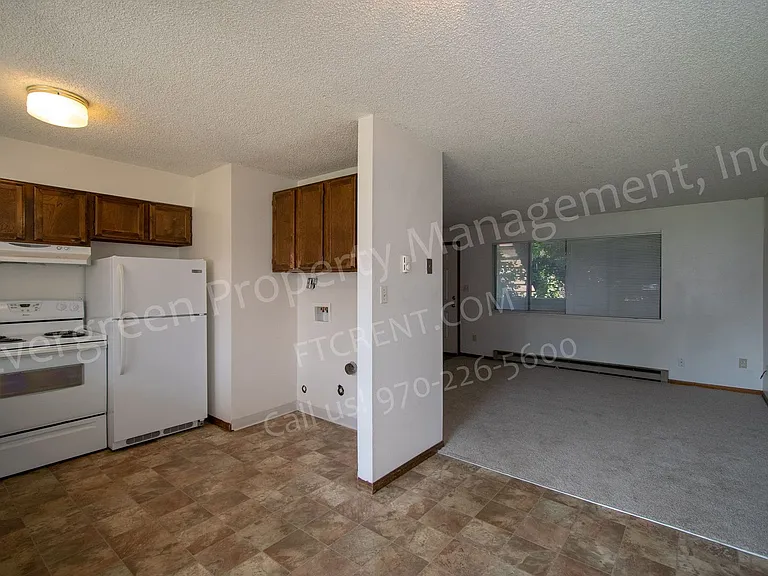 1636 E Pitkin St — Photo 10