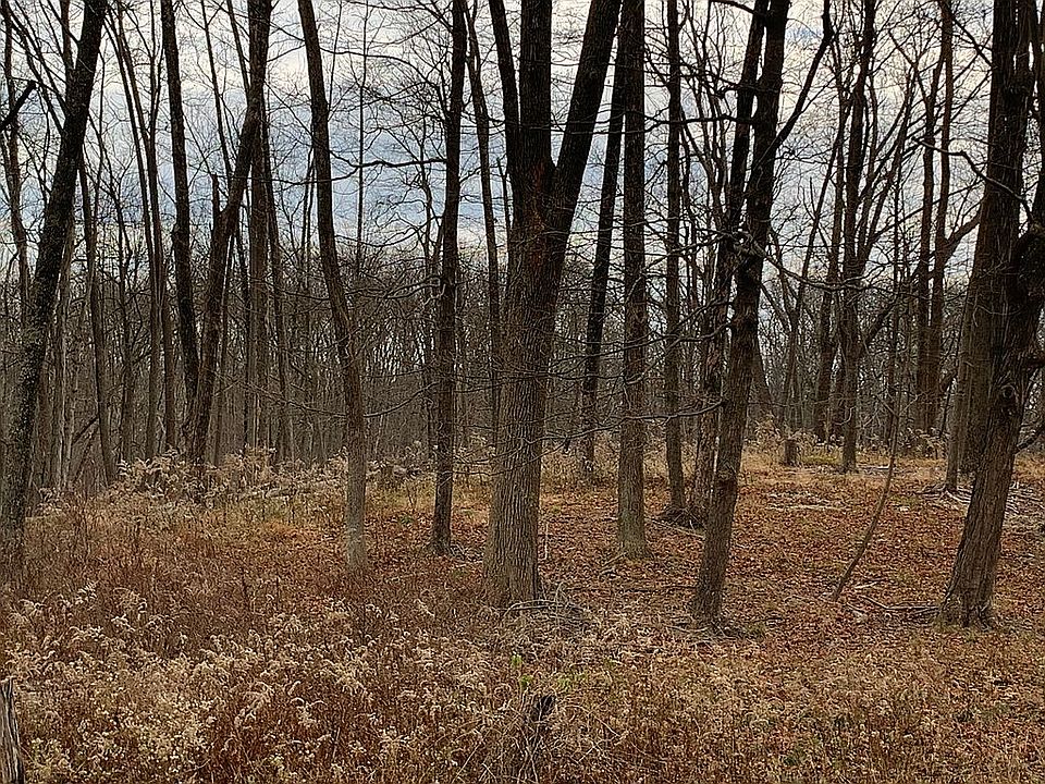 2nd image of 44 Mountain Rd