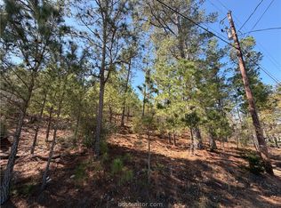 Mamalu Dr, Bastrop, TX 78602