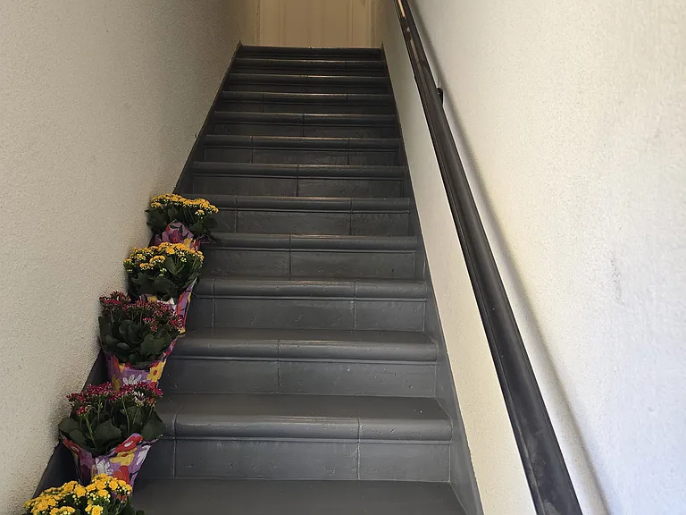 Steps to front door