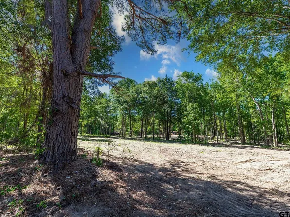 3136 N Fm 346 Lot 5, Bullard, TX 75757