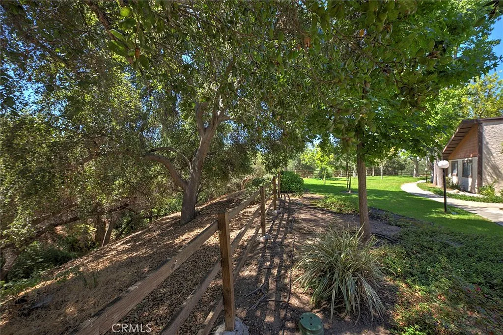 3 bed, 1206 sqft, $4,150 — Photo 4