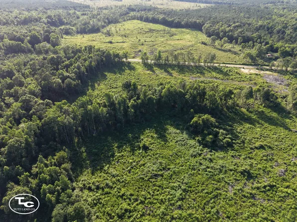 3 County Road 19, Camden, AL 36726