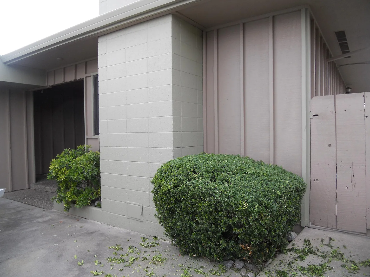 3 bed, 1468 sqft, $2,000 — Photo 3
