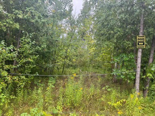 LOT 38 Sumcot Dr, Trent Lakes, ON K0L 1J0