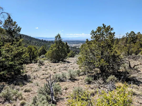 Lot 6044 Wood Road, Fort Garland, CO 81133
